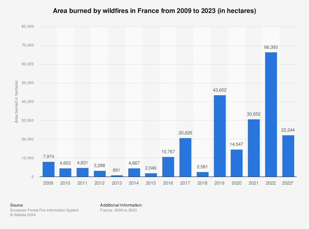 area burned by wildfire in france - How wildfires impact Europe’s economy and public health 